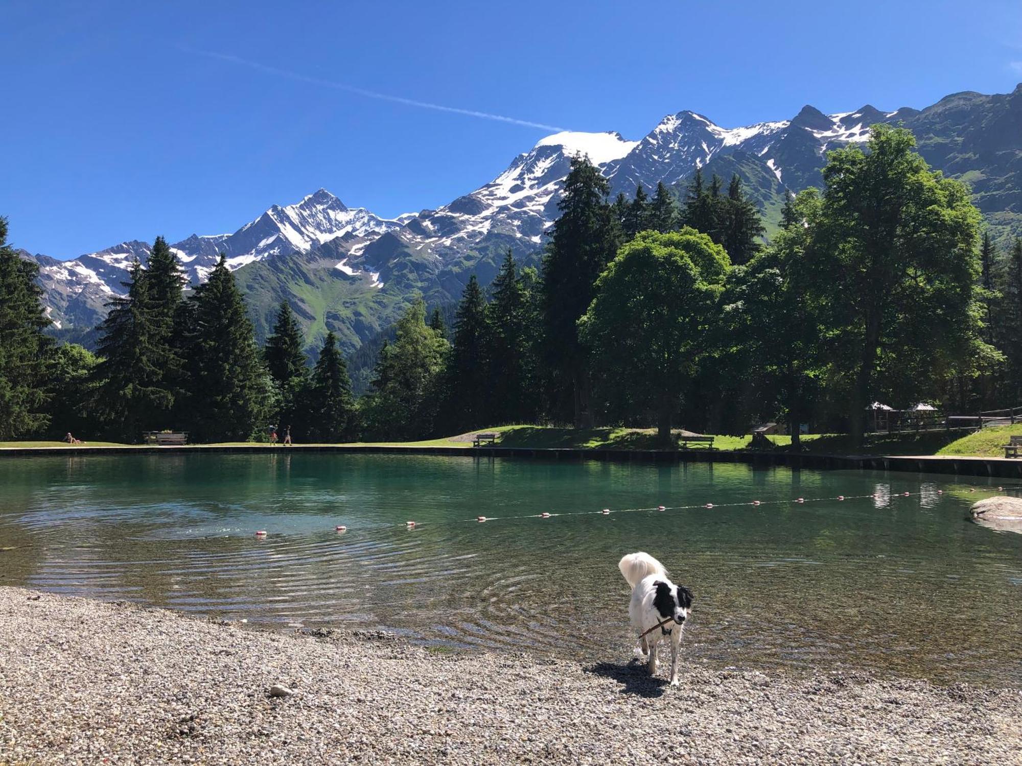 Chalet Riviere Du Bon Nant Location De 6 A 14 Personnes En Haute Savoie Saint-Gervais-les-Bains Exterior foto