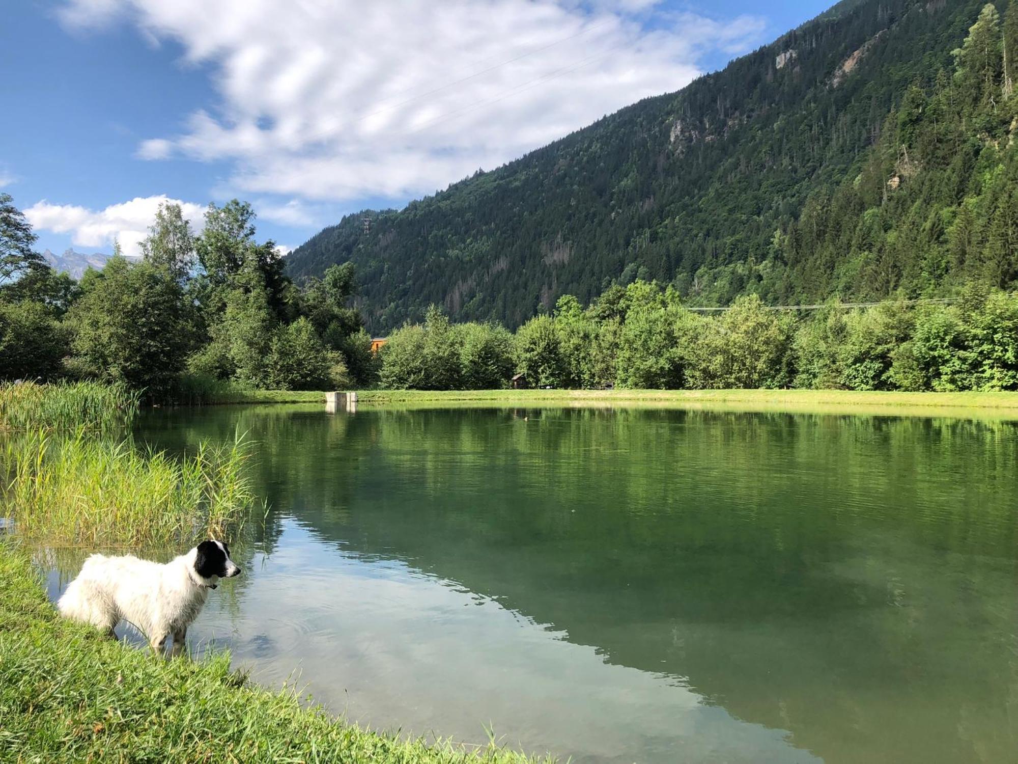 Chalet Riviere Du Bon Nant Location De 6 A 14 Personnes En Haute Savoie Saint-Gervais-les-Bains Exterior foto