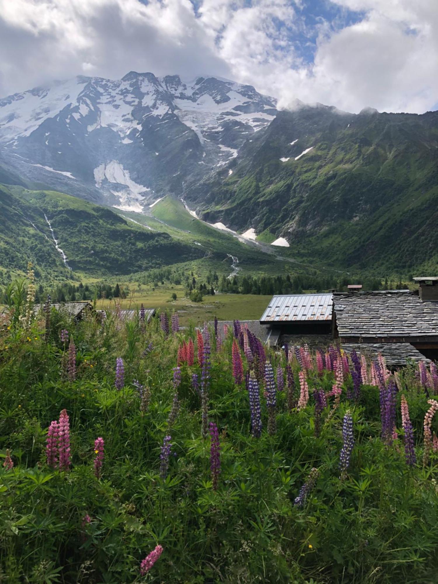 Chalet Riviere Du Bon Nant Location De 6 A 14 Personnes En Haute Savoie Saint-Gervais-les-Bains Exterior foto